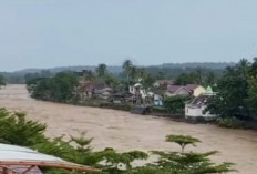 Sungai Enim dan Lematang Meluap! Warga Bantaran Sungai Diminta Waspada Banjir dan Tak Lengah  