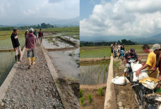 Akses JUT Tanjung Kurung Lahat 100 Persen Ditimbun Hamparan Sirtu, Antoni: Disebabkan Faktor Alam 