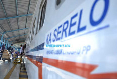 Antisipasi Titik Rawan Bencana, Begini Langkah KAI Divre III Palembang Agar Tak Ganggu Operasinal Kereta Api