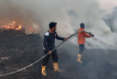 Gerak Cepat Tim Gabungan Muba Padamkan 3 Hektar Karhutla Dekat Gardu PLN