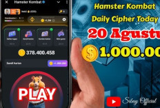 Combo Harian Hamster Kombat Selasa 20 Agustus 2024, Masukkan 3 Kartunya , 5 Juta Koin Bisa Kamu Dapatkan!