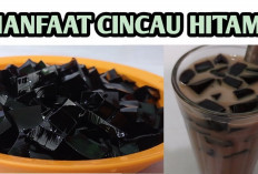 Primadona Takjil Setiap Ramadan! Ini 8 Manfaat Cincau Hitam untuk Kesehatan dan Daya Tahan Tubuh