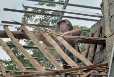 TNI 'Ngamuk' Bikin Salut! Satgas TMMD dan Warga Kompak Bongkar Rumah RTLH di Desa Cukil