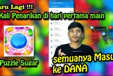 SIKAT! Susun Puzzlenya dan Cairkan Saldo DANA Gratis Rp250.000 Setiap Hari, Yuk Kepoin Aplikasinya di Sini