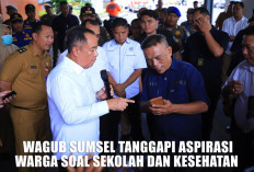 Kantor Gubernur Sumsel Didemo Puluhan Aktivis dan Ormas, ini Respon Mengejutkan Wagub Cik Ujang