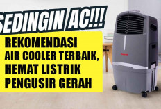 Super Adem! Rekomendasi Air Cooler Terbaik, Hemat Listrik Pengusir Gerah