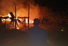 Duka Mendalam di OKU Timur, 4 Anak Jadi Korban Kebakaran di Desa Rasuan