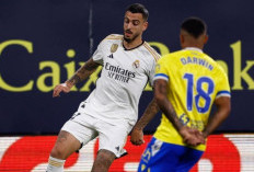 Joselu: Pilihan Cerdas Real Madrid dalam Membangun Masa Depan Serangannya