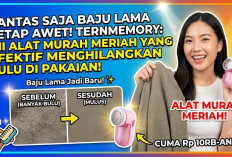Pantas Saja Baju Lama Tetap Awet! Ternyata Ini Alat Murah Meriah yang Efektif Menghilangkan Bulu di Pakaian