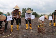 Dukung Program Pemerintah! Serentak, Jajaran Polres Ogan Ilir dan Polsek Laksanakan Kegiatan Ini