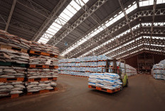 Pupuk Indonesia Bidik Pasar Global Tanpa Abaikan Kebutuhan Petani Nasional