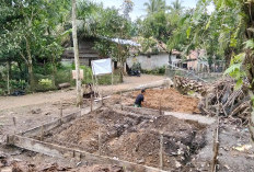 Pondasi Awal Acuan Ketahanan dan Kekuatan Bangunan