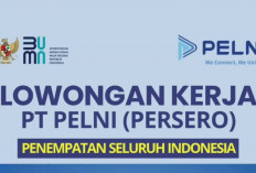 Perusahaan Pelayaran BUMN PT PELNI (Persero) Sedang Membuka Lowongan Kerja, Ini Syaratnya