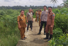 ALHAMDULILLAH! Kini Warga Beringin Jaya Lahat Tak Usah Gusar Angkut Hasil Bumi dan Ongkos Murah, Kok Bisa