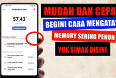 Mudah dan Cepat! Begini Cara Mengatasi Memory Sering Penuh, Yuk Simak Disni