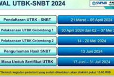 Kamu Mau Cek Lulus Atau Tidak SNBT 2024? Cek 41 Link Pengumuman Hasil UTBK SNBT 2024 Ini!
