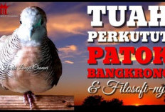 Menguak Mitos Burung Perkutut Satu Kaki, Katuranggan Langka dengan Tuah Peneguh Hati dan Batin