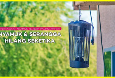 Tidur Nyenyak Tanpa Gangguan! 7 Rekomendasi Perangkap Nyamuk Terbaik yang Paling Ampuh dan Aman untuk Keluarga