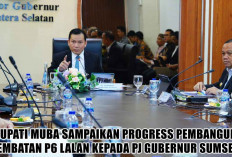 Segera Dibangun Awal 2025, Progress Pembangunan Jembatan P6 Lalan Dilaporkan kepada Pj Gubernur Sumsel