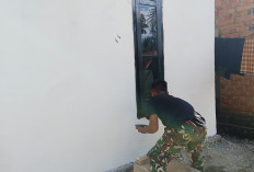 Rehab RTLH Program TMMD Kodim Lahat Milik Warga Desa Lubuk Tampang Ini Masuk Tahapan Ini