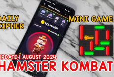 Combo Harian Hamster Kombat 1 Agustus 2024, Menangkan 5 Juta Koin!