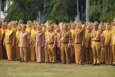 Soroti Mentalitas 'Absen Lalu Hilang', Sekda Ajak ASN OKI Tingkatkan Kinerja dan Disiplin