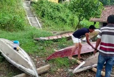  Hidupkan Kembali Tradisi Bidar Tradisional di Sungai Desa Tanjung Kemala OKU