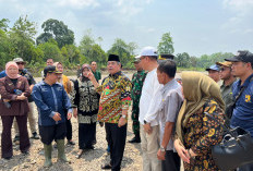 Bupati Lahat Tinjau Saluran Irigasi Tertutup Material, Herman: 25 Ha Sawah 7 Bulan Tak Ditanam Padi