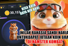 Inilah Rahasia Sandi Harian untuk Dapat Jutaan Koin Gratis di Hamster Kombat, Bisa Kaya Raya Nih Bro!