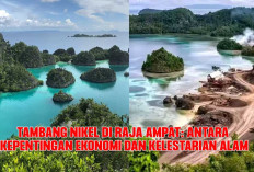 Mahasiswa Universitas Andalas Soroti Tambang Nikel di Raja Ampat, Sentil Aspek Lingkungan hingga Pemerintah