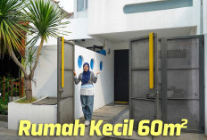 Transformasi Rumah Subsidi 60m2 Jadi Estetik & Colorful: Rahasia Hunian Playful