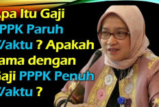 Berapa Gaji Honorer yang Masuk PPPK Paruh Waktu, Apa Bedanya dengan PPPK Penuh Waktu? Begini Penjelasannya