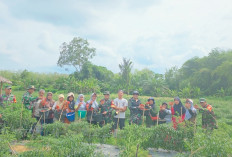 Dukung Program Ketahanan Pangan Nasional, Dandim Bungo Tebo Ada di Desa Tebat, Giat Apa?