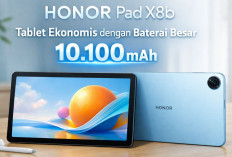 Honor Pad X8b Resmi Diluncurkan, Tablet Ekonomis dengan Baterai Besar 10.100 mAh!