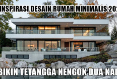Anti Gagal! 7 Inspirasi Desain Rumah Minimalis 2025 yang Bikin Tetangga Nengok, Estetik dan Kekinian Abis