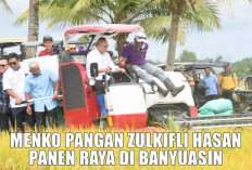 Panen Raya di Banyuasin, Menko Pangan Zulkifli Hasan Sampaikan Pesan Khusus dari Presiden Prabowo, Coba Tebak!