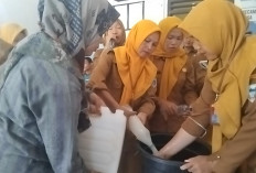 Pupuk Organik dari 6 Rempah Dapur, Solusi Ramah Lingkungan Kurangi Hama