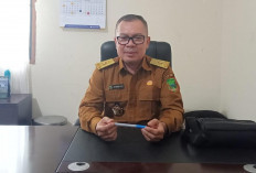 Kabupaten Empat Lawang Siap Guncangkan Sumsel Sebagai Tuan Rumah PEDA KTNA, Ini Kata Kadistan