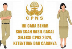 Jangan Salah! Ini Cara Benar Sanggah Hasil Gagal Seleksi CPNS 2024, Ketentuan dan Caranya