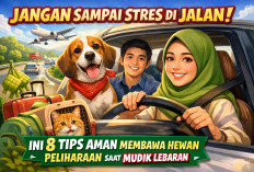 Jangan Sampai Stres di Jalan! Ini 8 Tips Aman Membawa Hewan Peliharaan Saat Mudik Lebaran