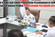 7 Isu Utama Jadi Fokus Percepatan Pelaksanaan di Sumsel Dalam Jangka Pendek, Penyelesaian PSN Masuk Ga?