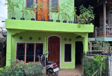 LUAR BIASA, Inovasi Pemdes Lesung Batu Lahat Ubah Perkarangan Rumah Jadi Kebun Mini