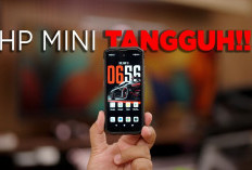 Kecil tapi Badak! Review Jujur HP Outdoor Mini Cubot King Kong Mini 4