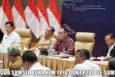 Langkah Antisipatif Pemprov Sumsel Menjaga Stabilitas Harga Pangan, ini Kata Wagub Cik Ujang