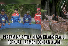 Langkah Hijau Pertamina Patra Niaga Kilang Plaju: Wujud Harmoni Alam Demi Energi Masa Depan yang Andal