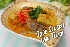 Ide Menu Makan Malam! Resep Opor Sengkel dan Tempe, Gurih-gurih Nikmat