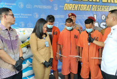 Polda Sumsel Gagalkan Penyelewengan Pupuk Bersubsidi Asal Lampung, Ini Tujuan Pengirimannya