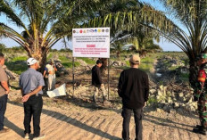 Kejari Banyuasin Dampingi Satgas PKH Tertibkan Kawasan Hutan Lahan, Ini Lokasinya