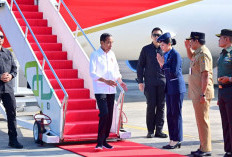 Kunjungi Jawa Tengah, Presiden Jokowi akan Tanam Padi hingga Resmikan Terminal