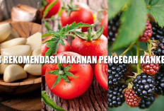 8 Rekomendasi Makanan Pencegah Kanker, Sering-sering Konsumsi, Ya!